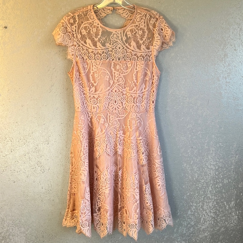 BB Dakota by Steve Madden Jayce Lace Sheath Cocktail Dress  Smoky Pink, Size 6